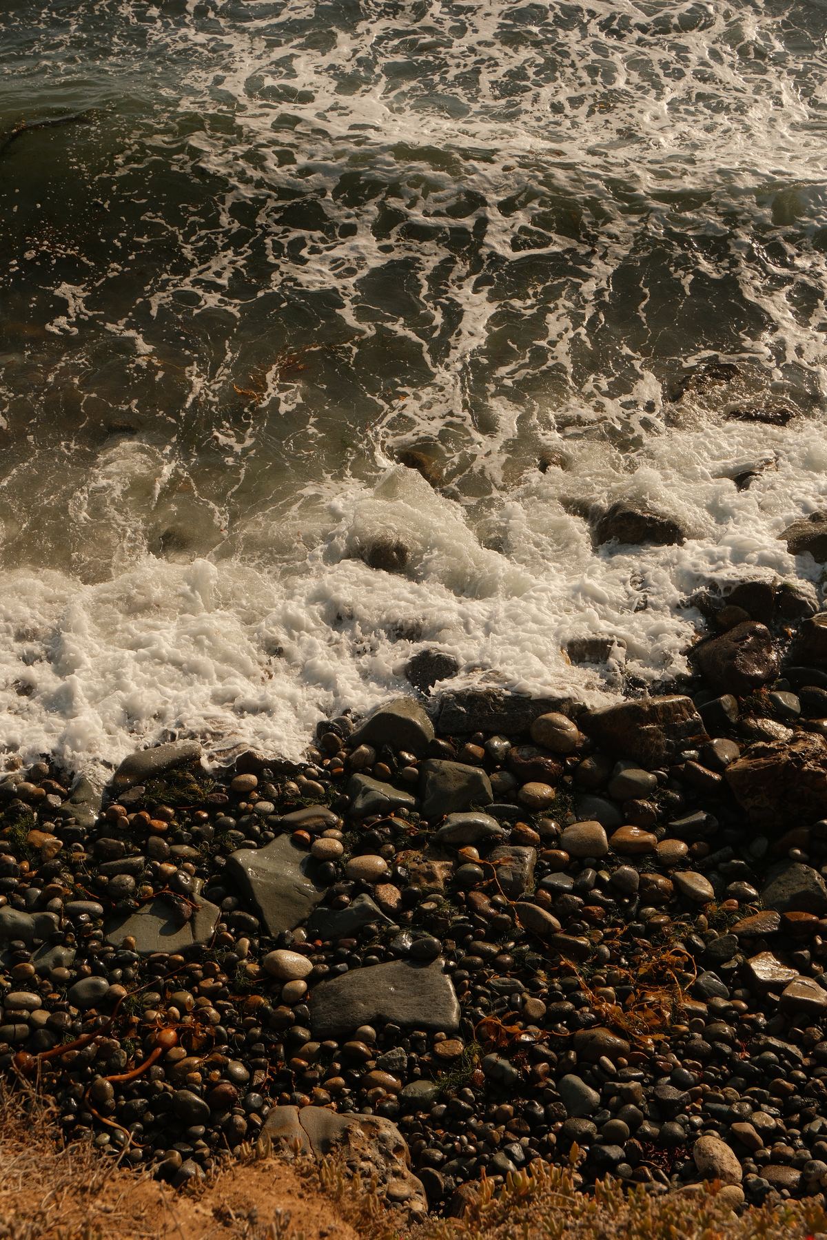 Waves over the rocky Bird Rock shoreline
